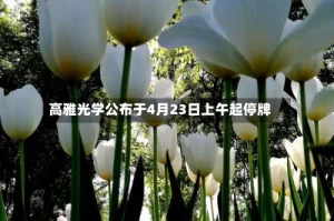 高雅光学公布于4月23日上午起停牌