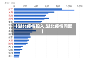 【湖北疫情投入,湖北疫情问题】