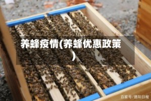 养蜂疫情(养蜂优惠政策)