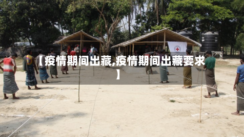 【疫情期间出藏,疫情期间出藏要求】-第1张图片