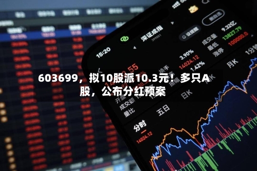603699，拟10股派10.3元！多只A股	，公布分红预案-第3张图片