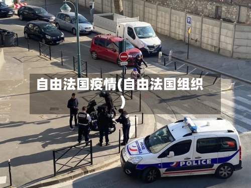 自由法国疫情(自由法国组织)-第1张图片