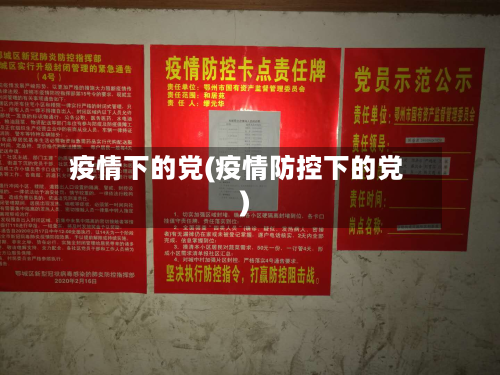 疫情下的党(疫情防控下的党)-第1张图片