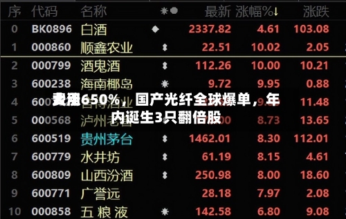 费用大涨650%，国产光纤全球爆单，年内诞生3只翻倍股-第1张图片