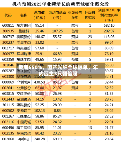 费用大涨650%，国产光纤全球爆单，年内诞生3只翻倍股-第1张图片