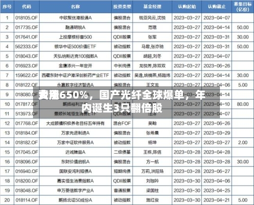 费用大涨650%，国产光纤全球爆单，年内诞生3只翻倍股-第1张图片