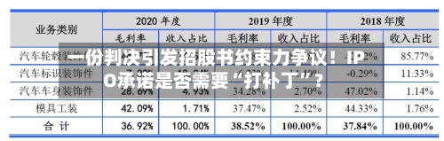 一份判决引发招股书约束力争议！IPO承诺是否需要“打补丁	”？-第2张图片