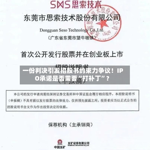 一份判决引发招股书约束力争议！IPO承诺是否需要“打补丁”？-第3张图片