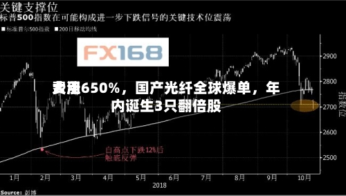 费用大涨650%，国产光纤全球爆单，年内诞生3只翻倍股-第1张图片