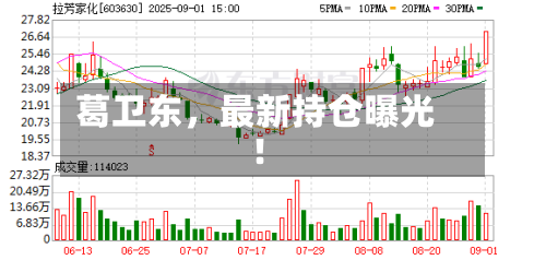 葛卫东	，最新持仓曝光！-第1张图片