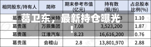 葛卫东，最新持仓曝光！-第2张图片