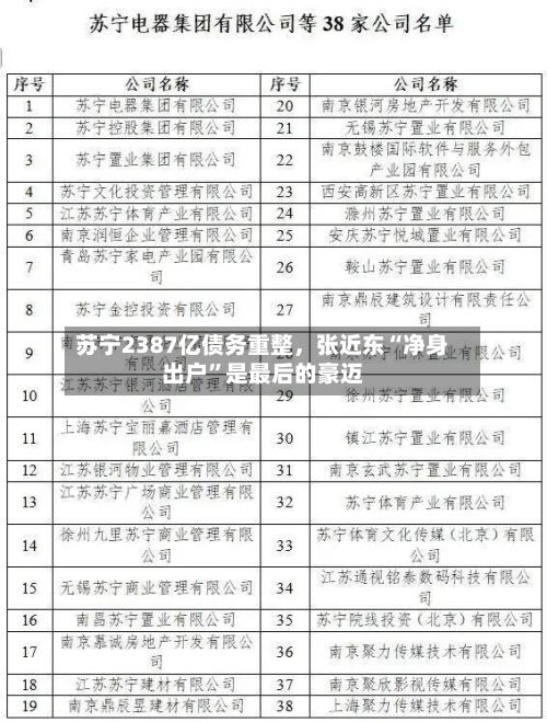 苏宁2387亿债务重整，张近东“净身出户	”是最后的豪迈-第2张图片