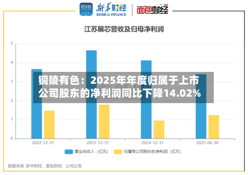 铜陵有色：2025年年度归属于上市公司股东的净利润同比下降14.02%-第1张图片