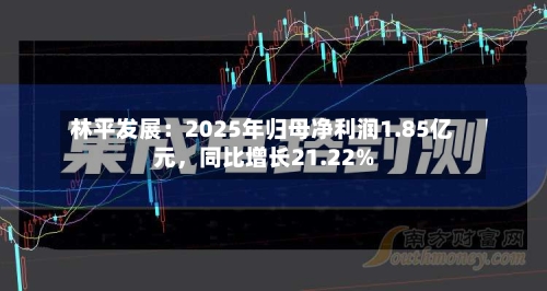 林平发展：2025年归母净利润1.85亿元，同比增长21.22%-第1张图片