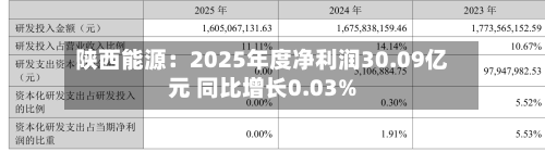 陕西能源:2025年度净利润30.09亿元 同比增长0.03%-第3张图片