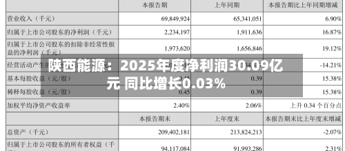 陕西能源:2025年度净利润30.09亿元 同比增长0.03%-第2张图片