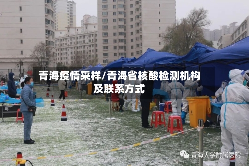 青海疫情采样/青海省核酸检测机构及联系方式-第1张图片