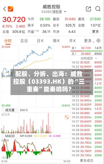 配股、分拆、出海：威胜控股（03393.HK）的“三重奏”能奏响吗？-第2张图片
