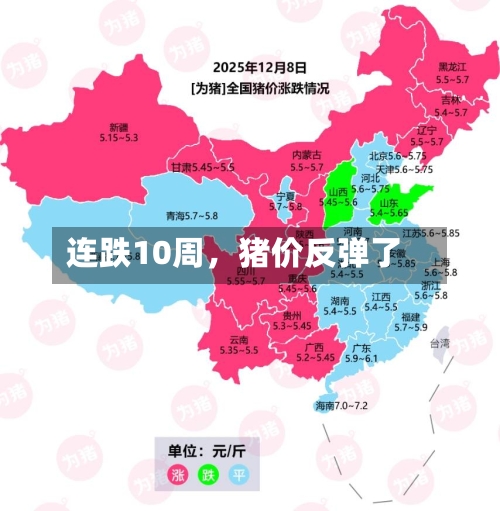 连跌10周，猪价反弹了-第1张图片
