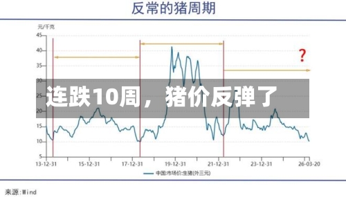 连跌10周，猪价反弹了-第2张图片