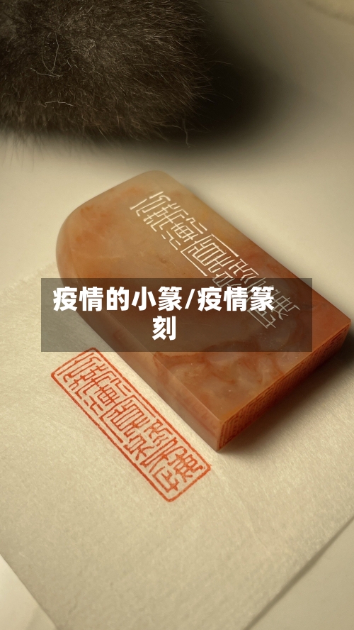疫情的小篆/疫情篆刻-第1张图片