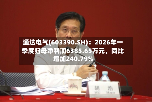 通达电气(603390.SH)：2026年一季度归母净利润6385.65万元，同比增加240.79%-第1张图片
