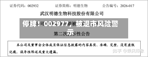 停牌！002977，被退市风险警示-第2张图片