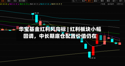 华宝基金红利风向标 | 红利板块小幅回调	，中长期底仓配置价值仍在-第1张图片