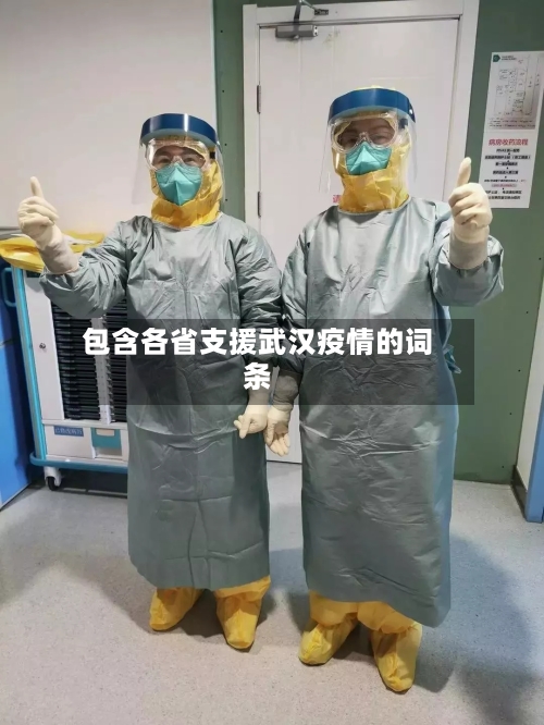 包含各省支援武汉疫情的词条-第1张图片