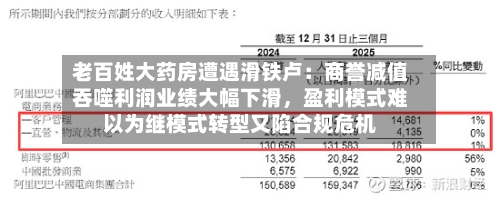 老百姓大药房遭遇滑铁卢：商誉减值吞噬利润业绩大幅下滑，盈利模式难以为继模式转型又陷合规危机-第3张图片