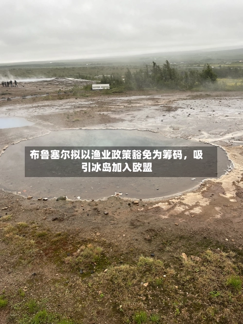 布鲁塞尔拟以渔业政策豁免为筹码	，吸引冰岛加入欧盟-第2张图片