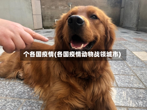 个各国疫情(各国疫情动物战领城市)-第1张图片