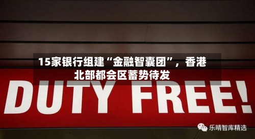 15家银行组建“金融智囊团	”，香港北部都会区蓄势待发-第3张图片