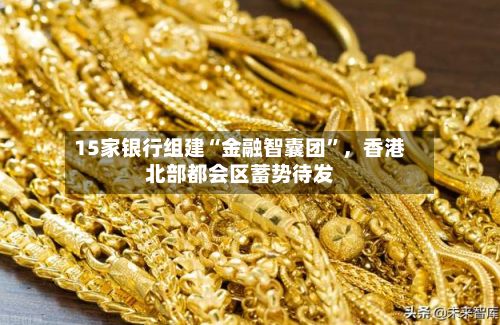 15家银行组建“金融智囊团”	，香港北部都会区蓄势待发-第2张图片