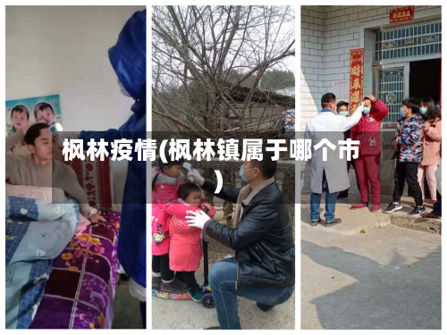 枫林疫情(枫林镇属于哪个市)-第1张图片