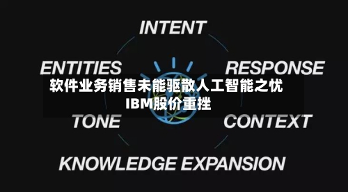 软件业务销售未能驱散人工智能之忧 IBM股价重挫-第1张图片