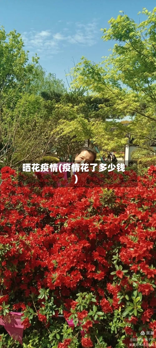 晒花疫情(疫情花了多少钱)-第1张图片
