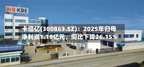 卡倍亿(300863.SZ)：2025年归母净利润1.19亿元	，同比下降26.15%-第1张图片