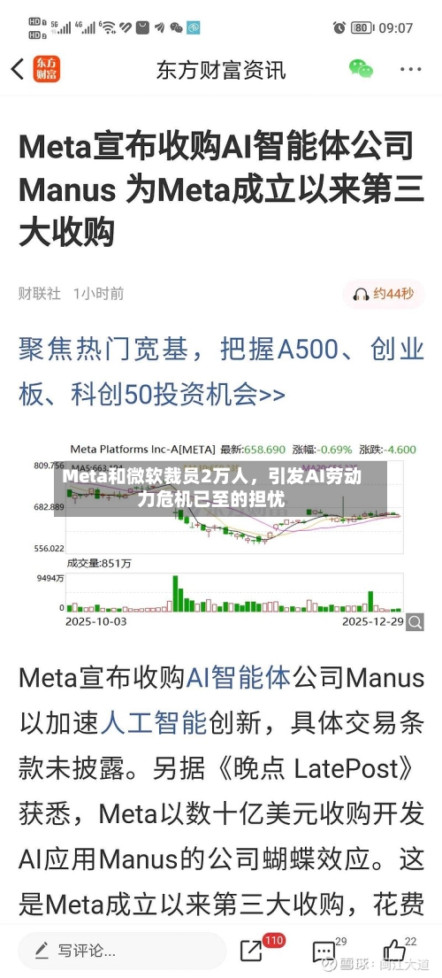 Meta和微软裁员2万人，引发AI劳动力危机已至的担忧-第1张图片