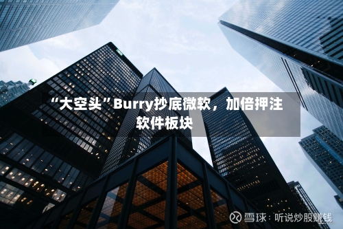 “大空头”Burry抄底微软，加倍押注软件板块-第2张图片
