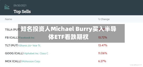 知名投资人Michael Burry买入半导体ETF看跌期权-第1张图片