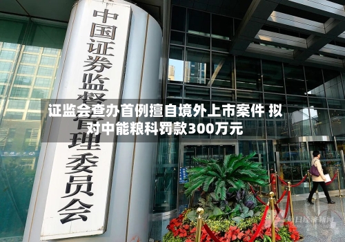证监会查办首例擅自境外上市案件 拟对中能粮科罚款300万元-第1张图片