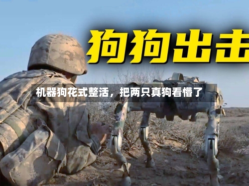 机器狗花式整活，把两只真狗看懵了-第2张图片