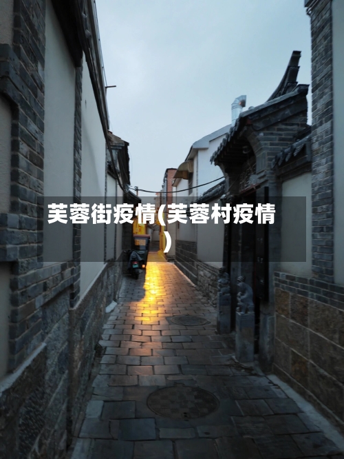 芙蓉街疫情(芙蓉村疫情)-第1张图片