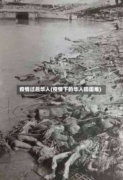 疫情过后华人(疫情下的华人回国难)-第1张图片