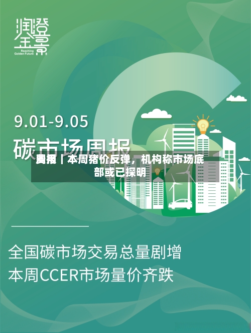 费用周报｜本周猪价反弹，机构称市场底部或已探明-第1张图片