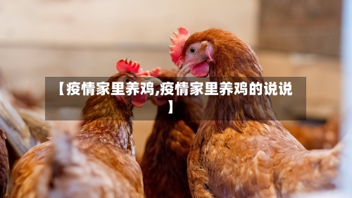 【疫情家里养鸡,疫情家里养鸡的说说】-第1张图片