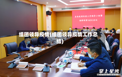组团领导疫情(组团领导疫情工作总结)-第1张图片