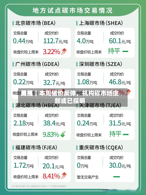 费用周报｜本周猪价反弹，机构称市场底部或已探明-第1张图片