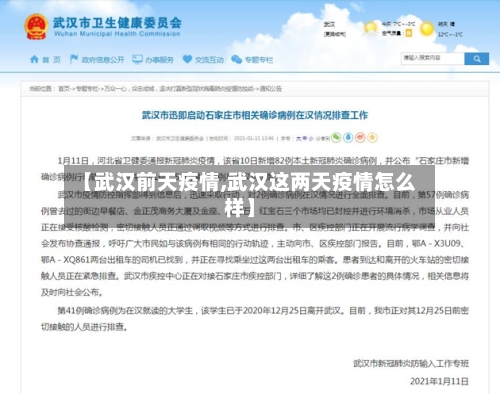【武汉前天疫情,武汉这两天疫情怎么样】-第1张图片